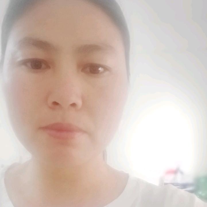 梅槐