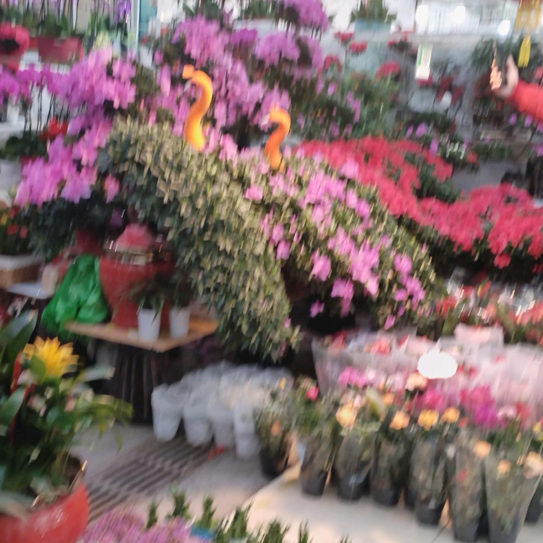 静待花开🌹🌺🌞