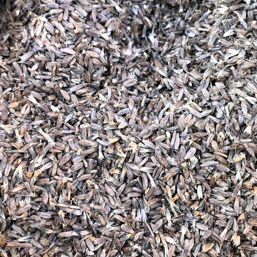 中药材籽种秧苗，