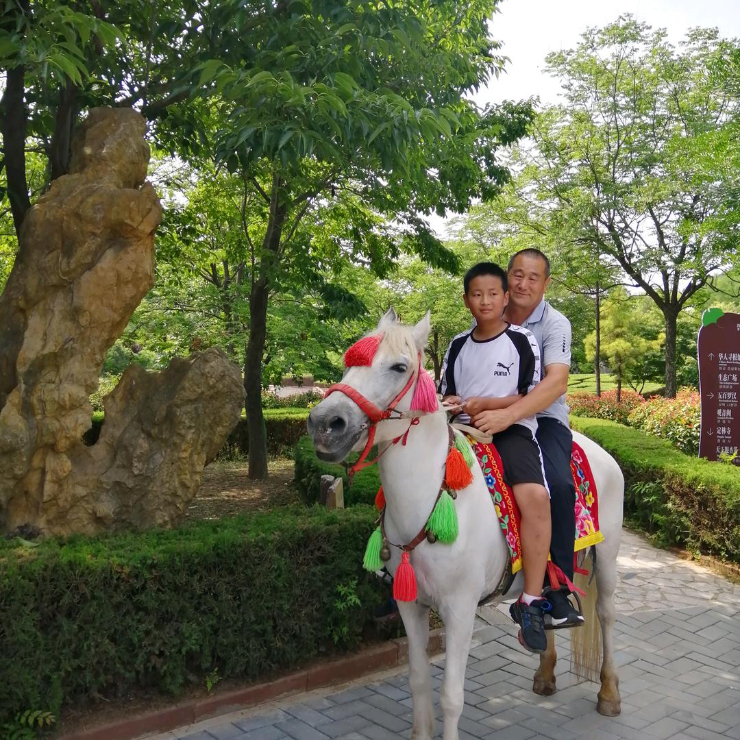 🐉王英🌹🍀🌷