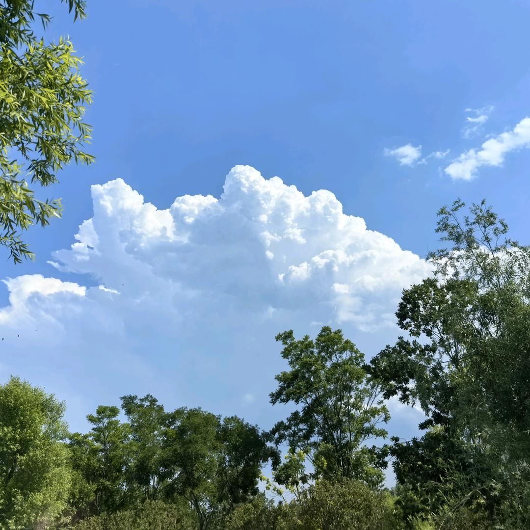 🌈但行好事🌈莫问前程