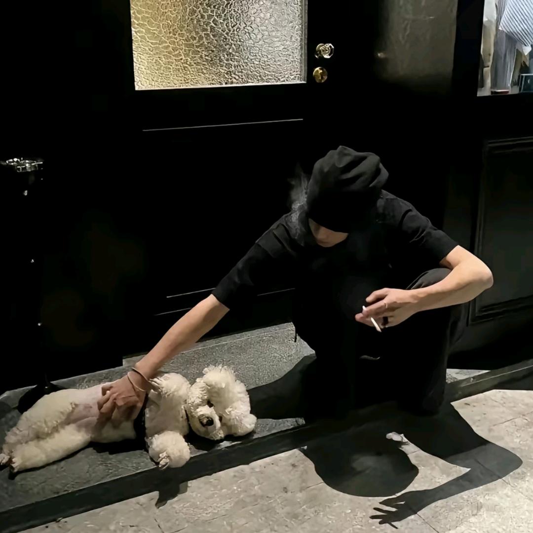 拼好饭被偷而我无能为力