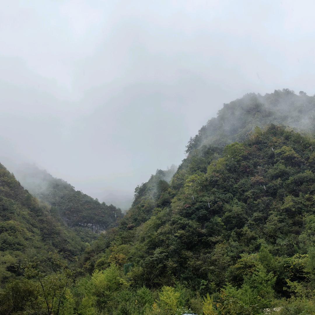安涉