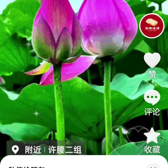 凤鸣特色