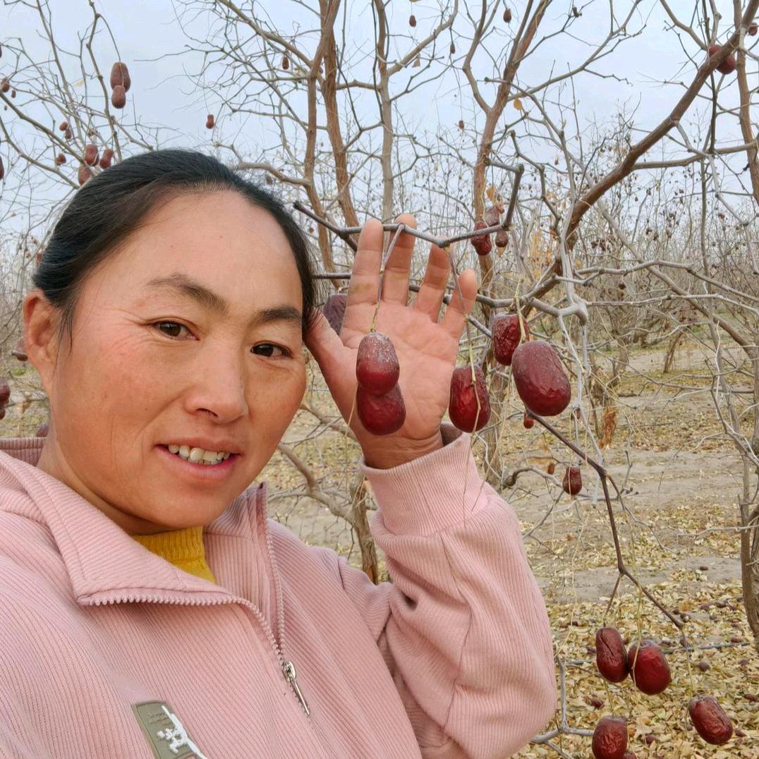 两个枣（灵姐）