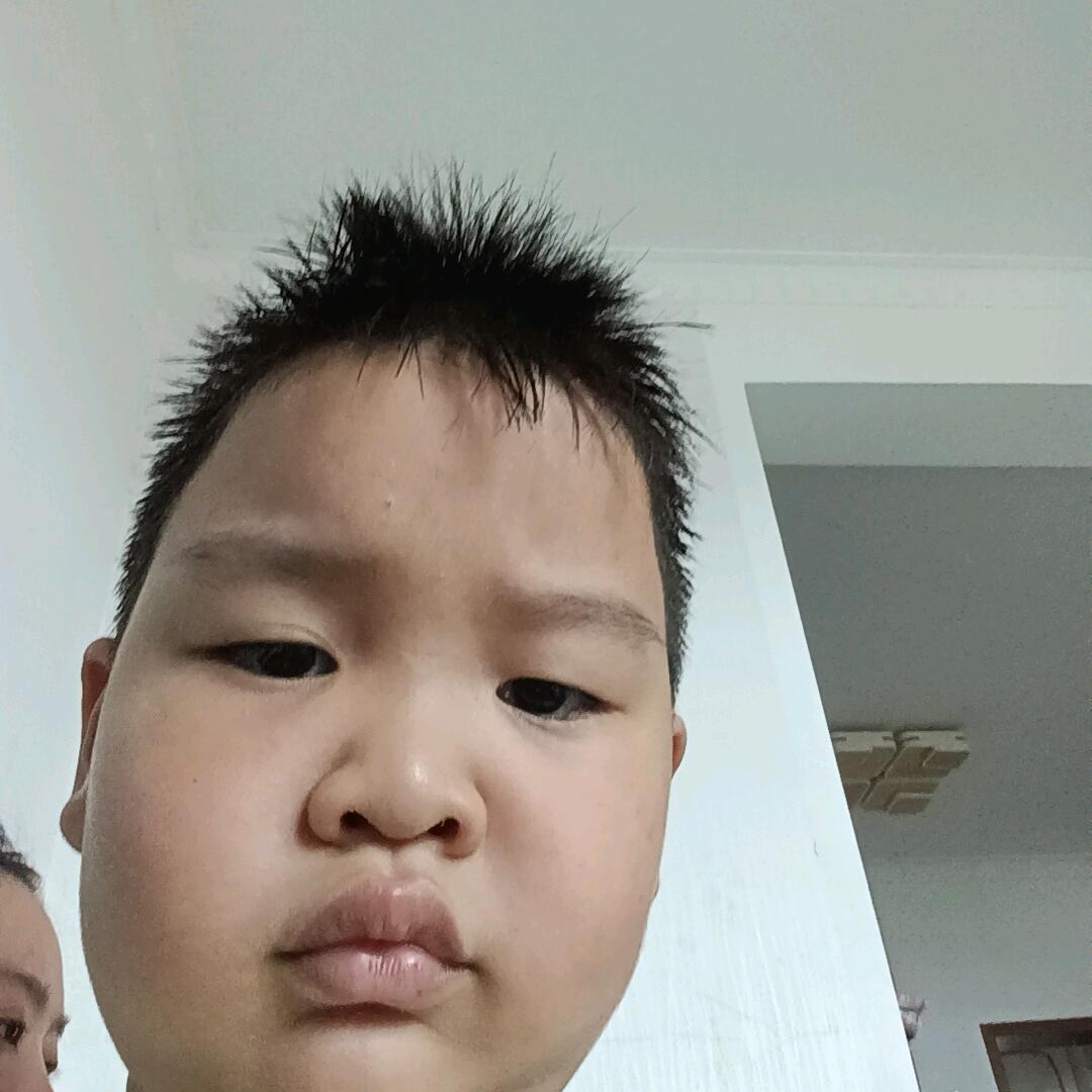 杨凯杨凯