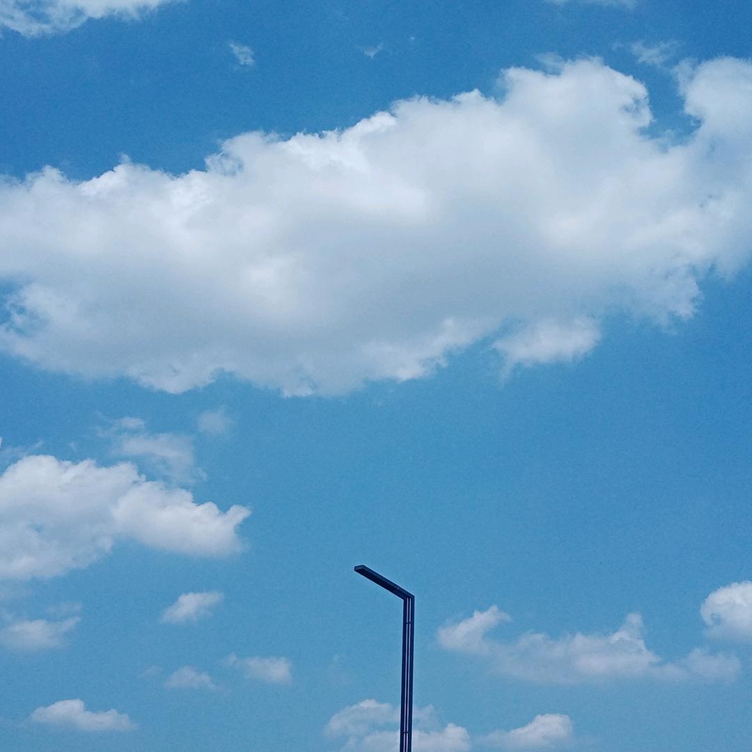 彼岸花