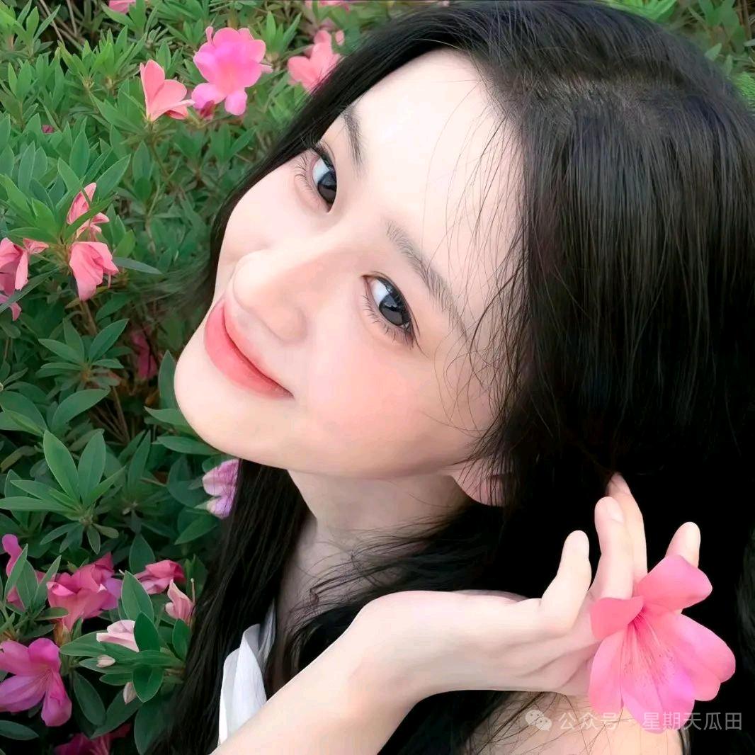 晚晚无安.J