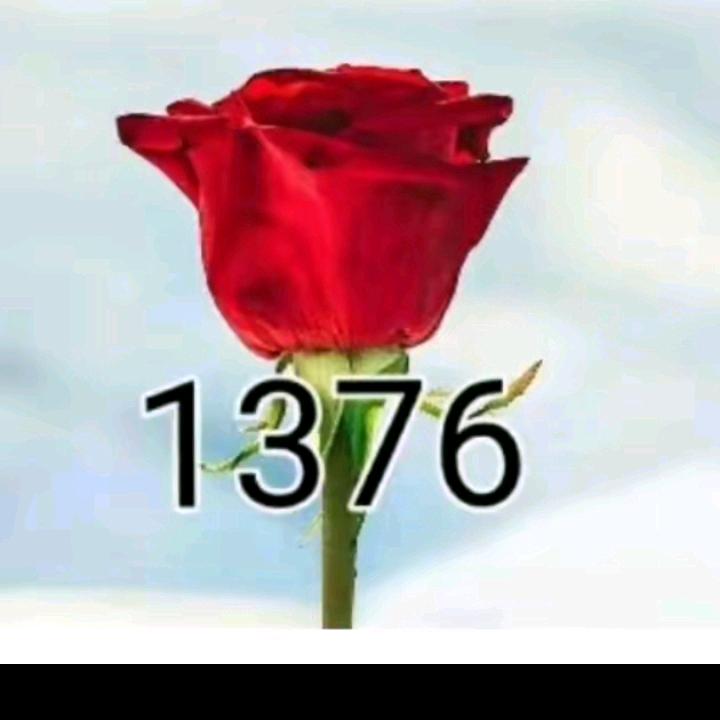 1376