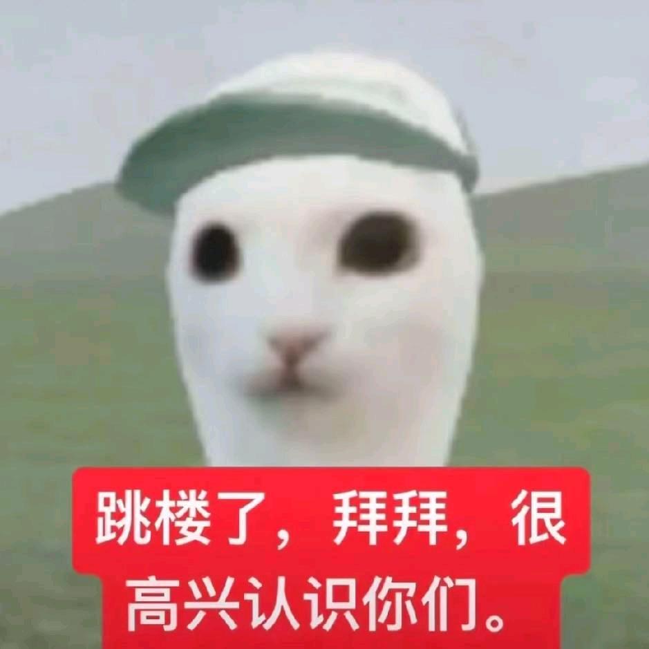 叙叙er