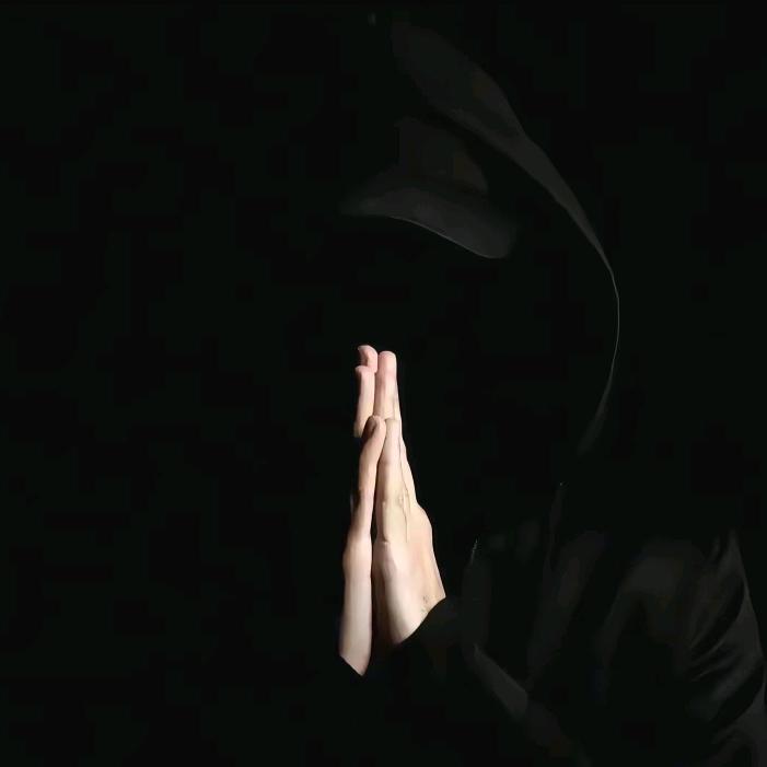 天宇爬宠（在线出爬中）