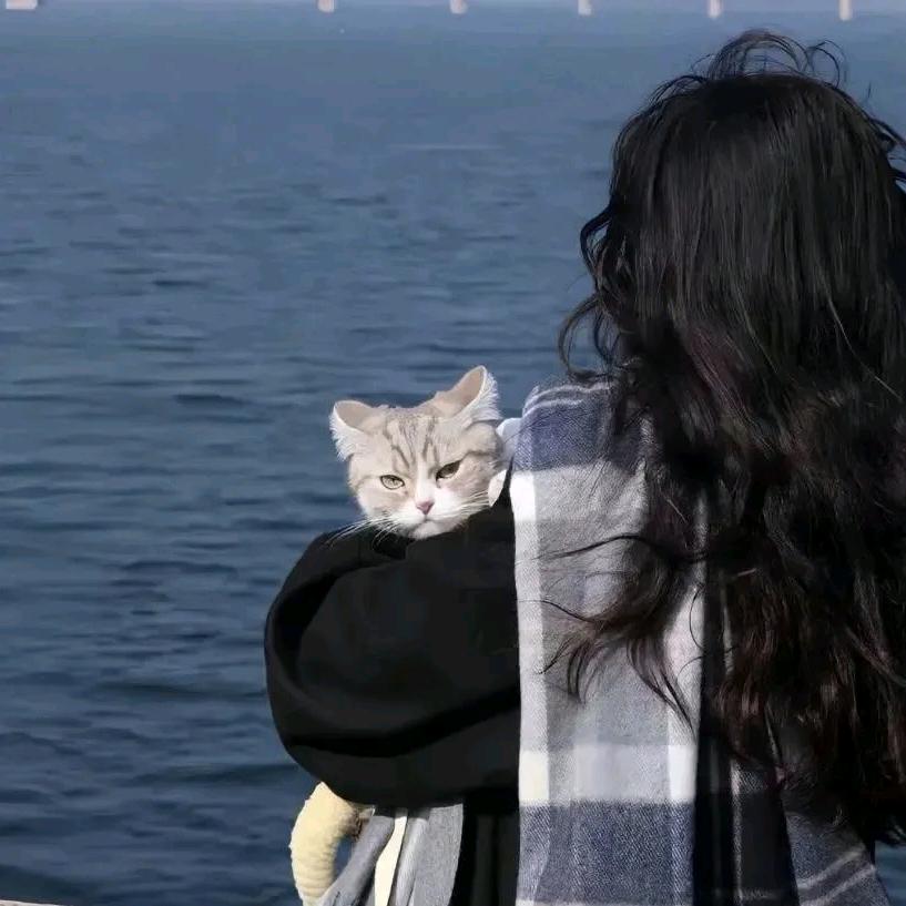 摸鱼的冰淇淋🍦