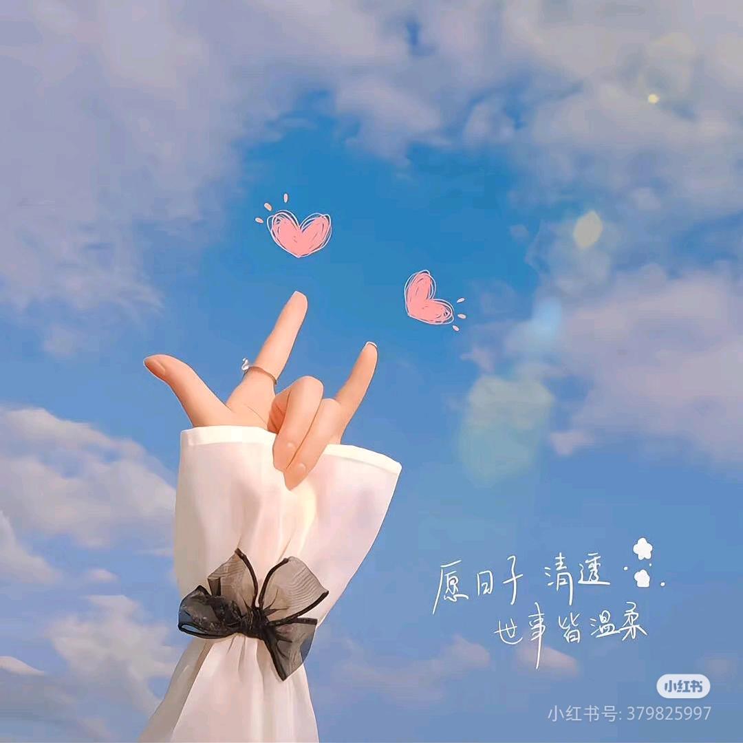 💞一芈阳光💞