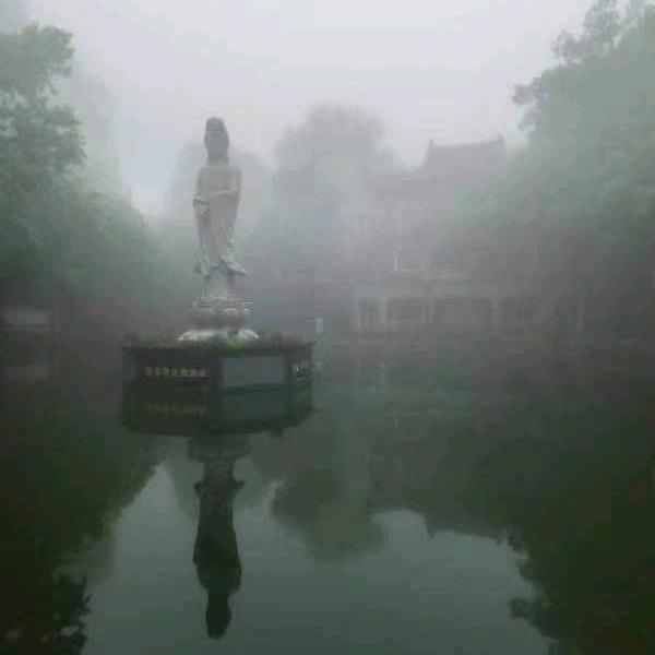 来财，来财，风′生水起陈