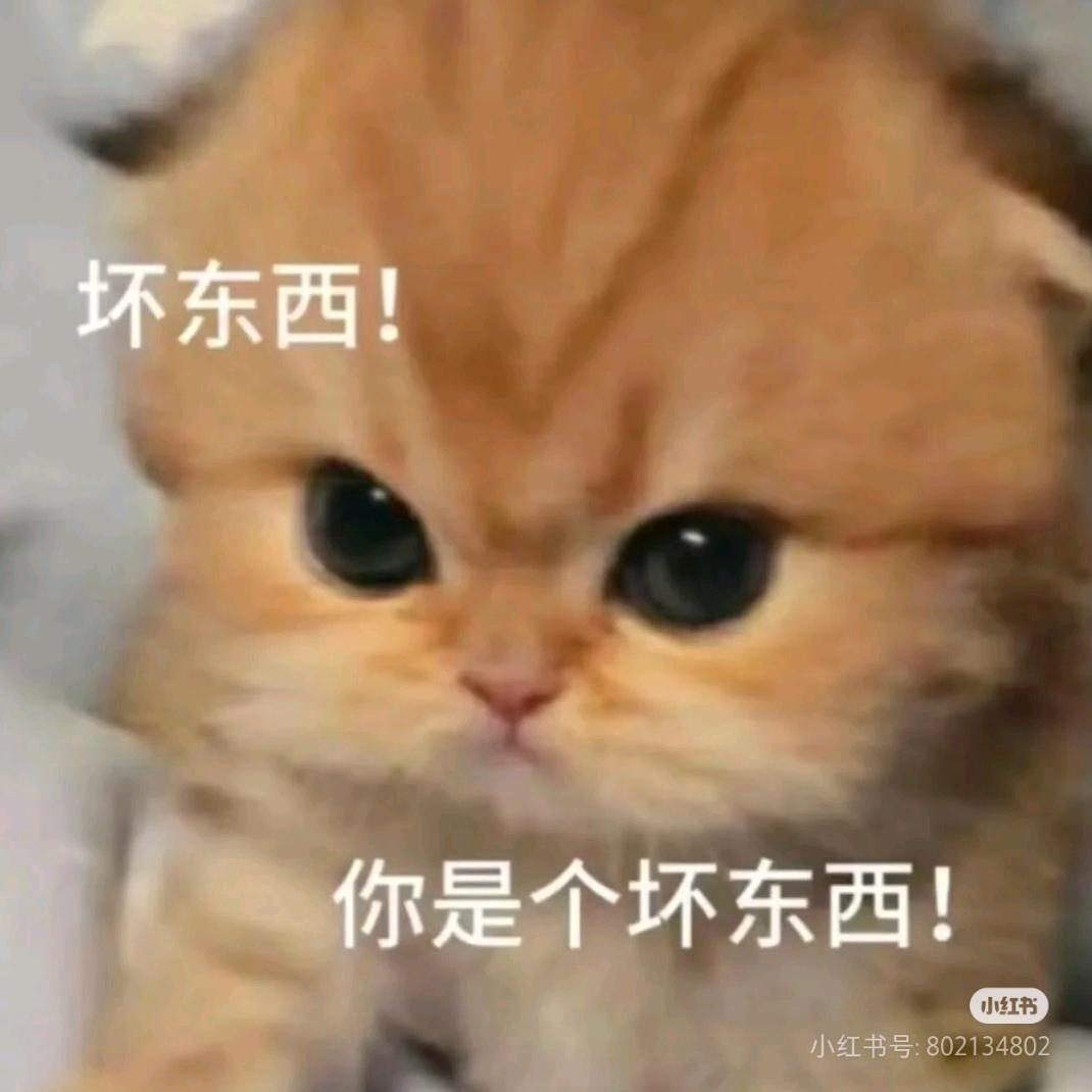 小呆呆