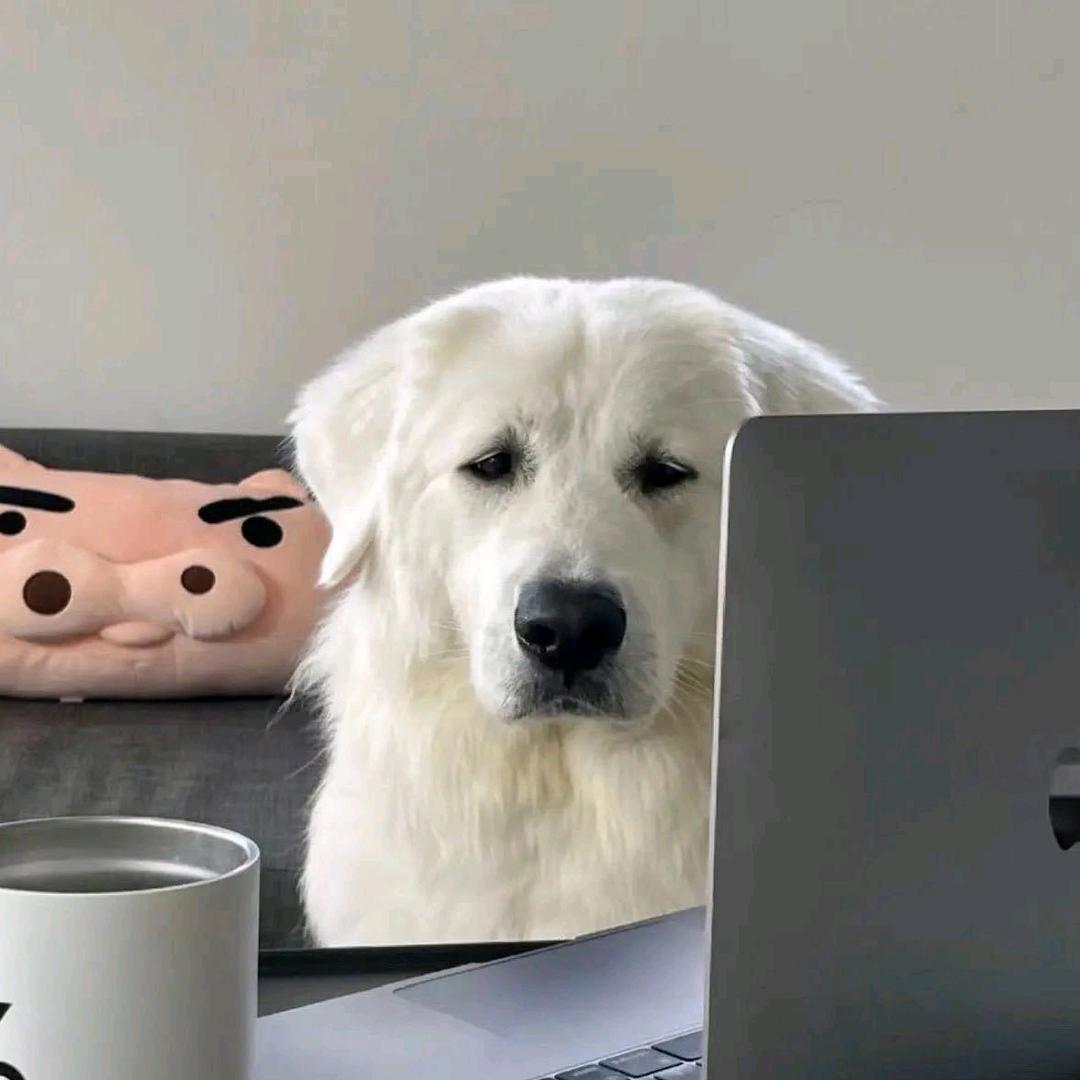 暗杀闰土的猹