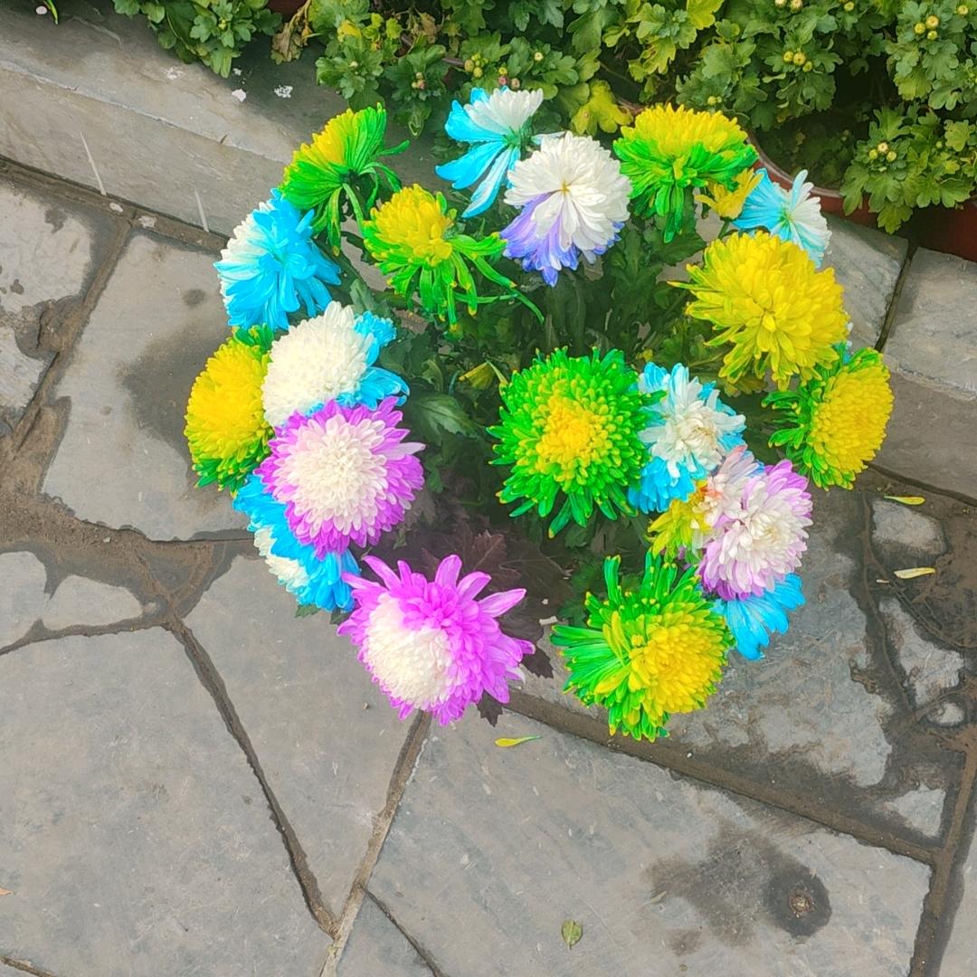 如果不坚强   懦弱给谁看