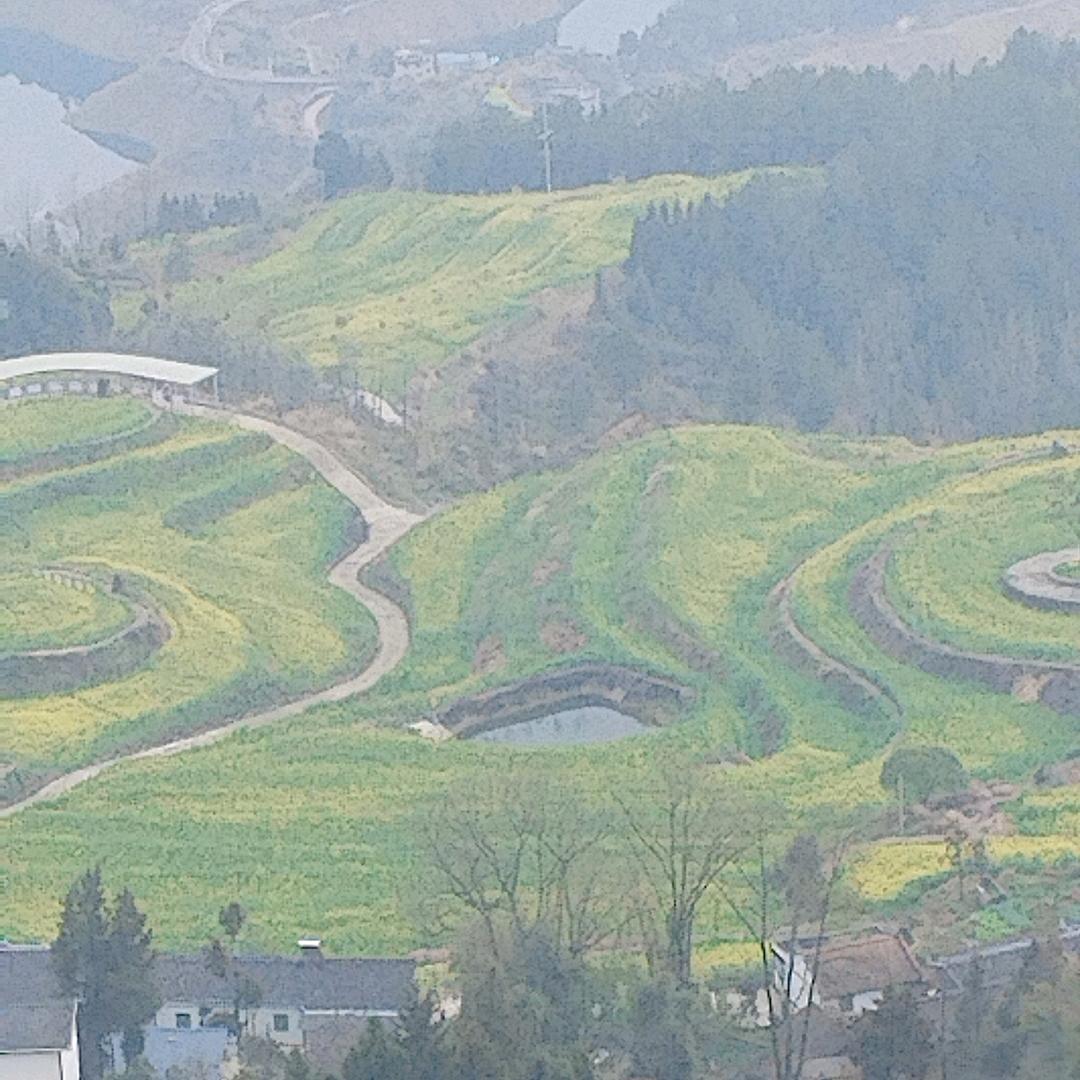 坚强就是幸福。