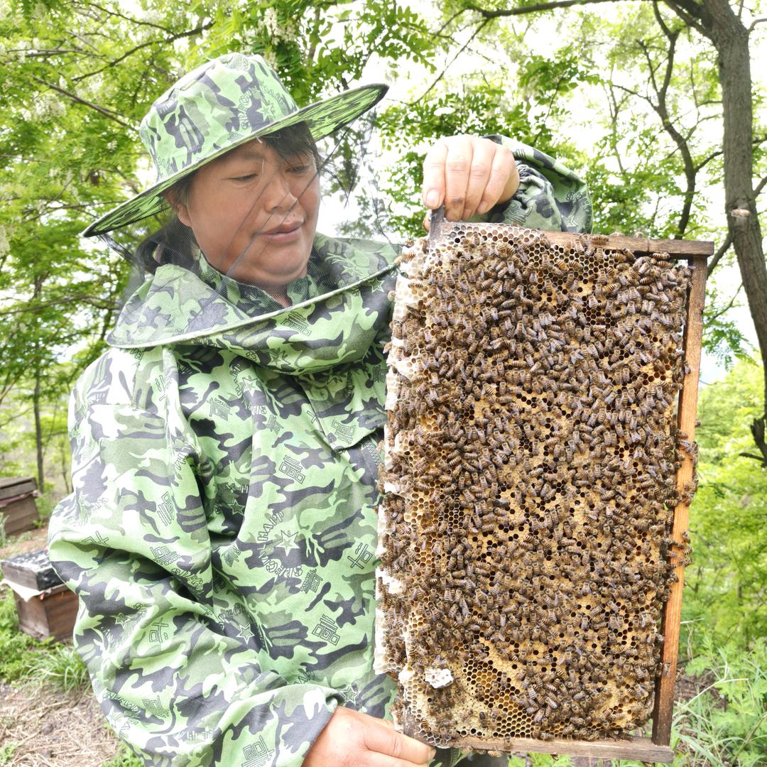 云南半山腰蜂蜜