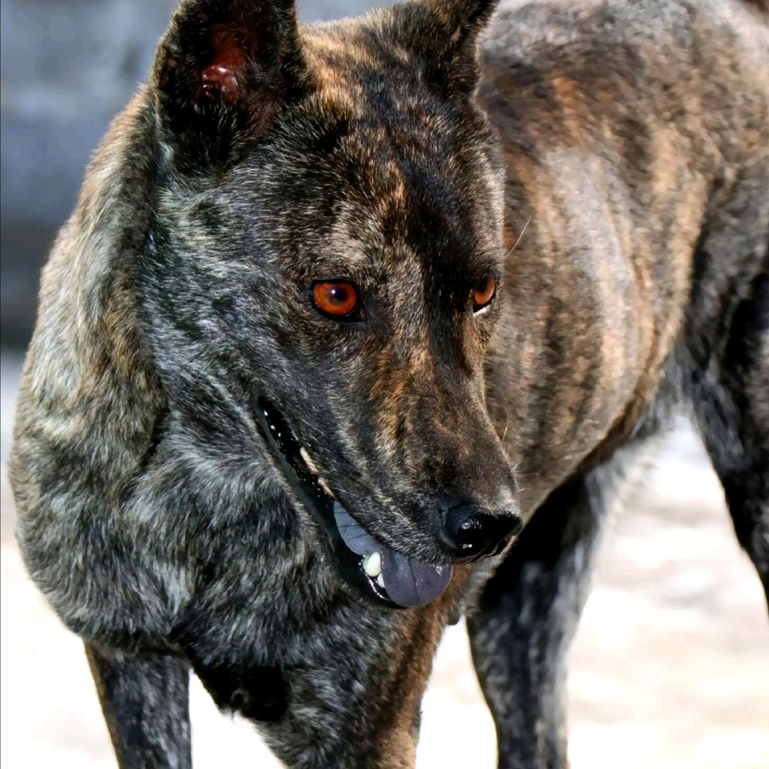 恩施硒都山泉水在佛山