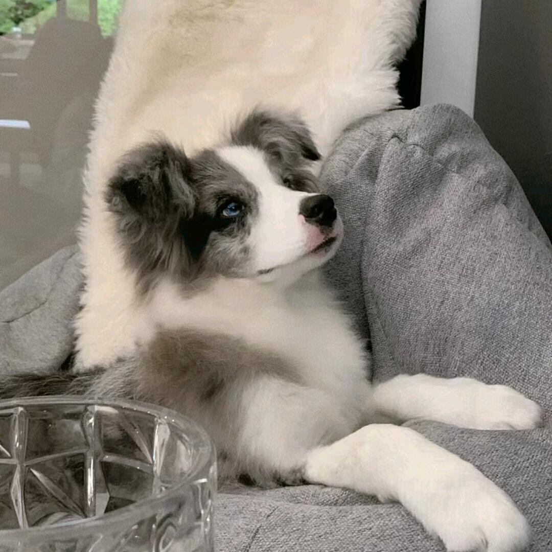 余xh头像
