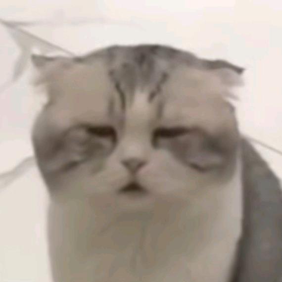 AAA温大学弟修车江离师傅