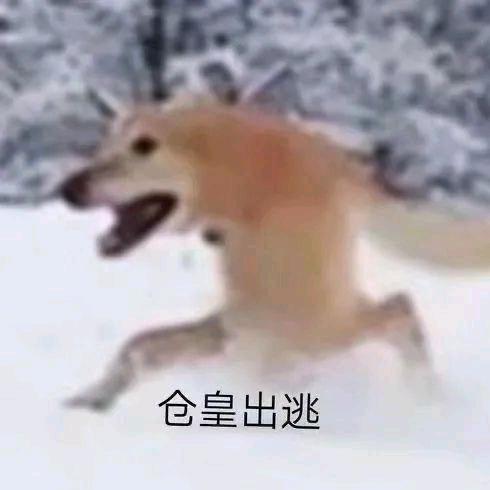 voe