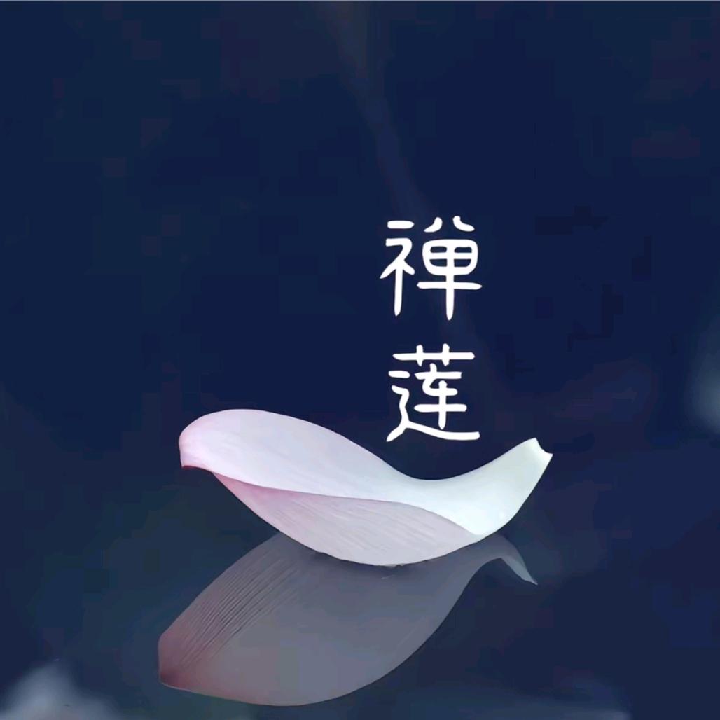 ঞ᭄☯心若🍀菩提ഒᩚ࿐