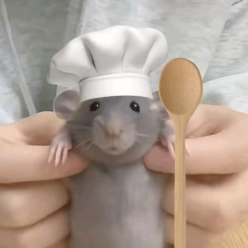 料理鼠王（胡言乱语版）