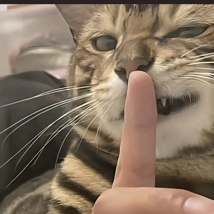 願