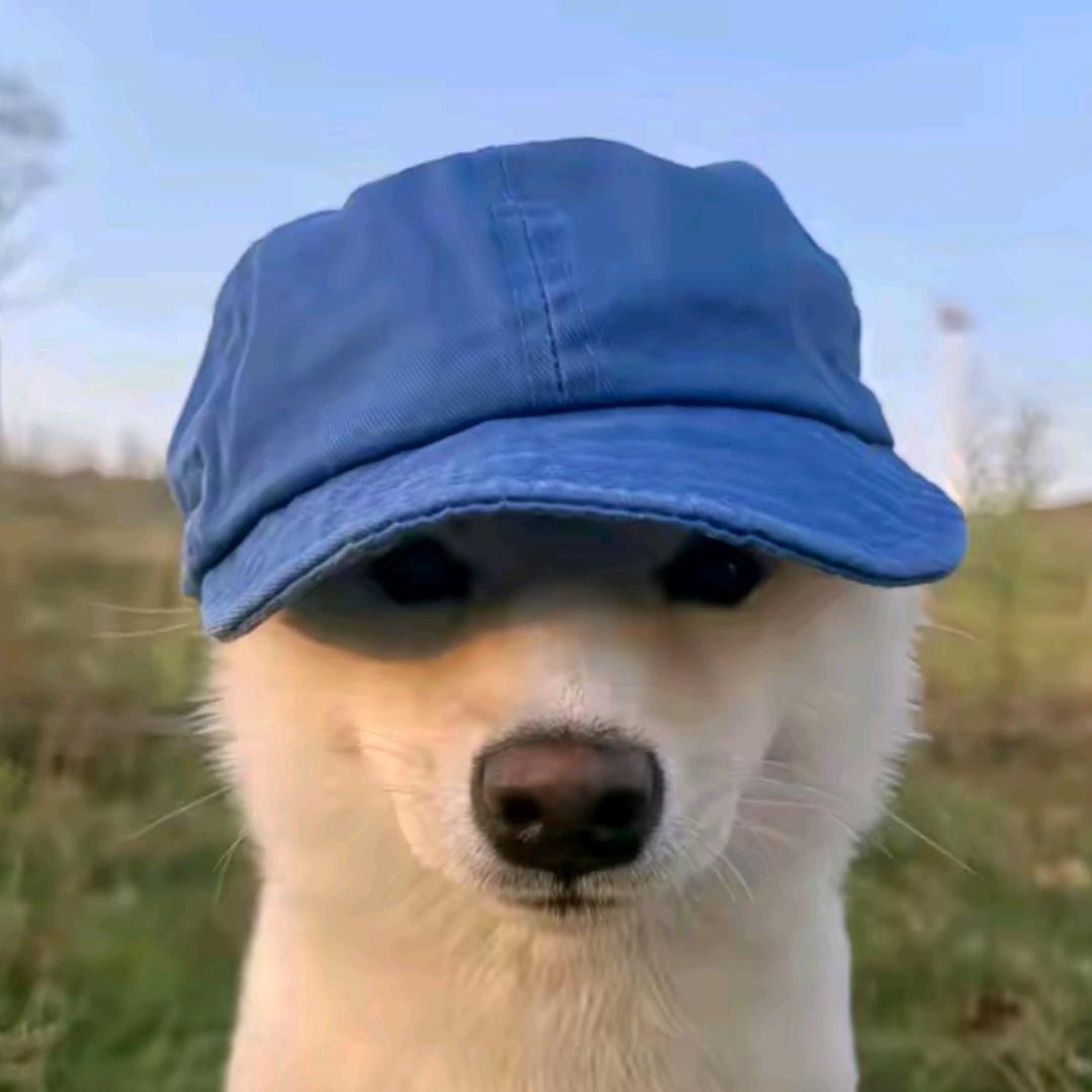 光哥