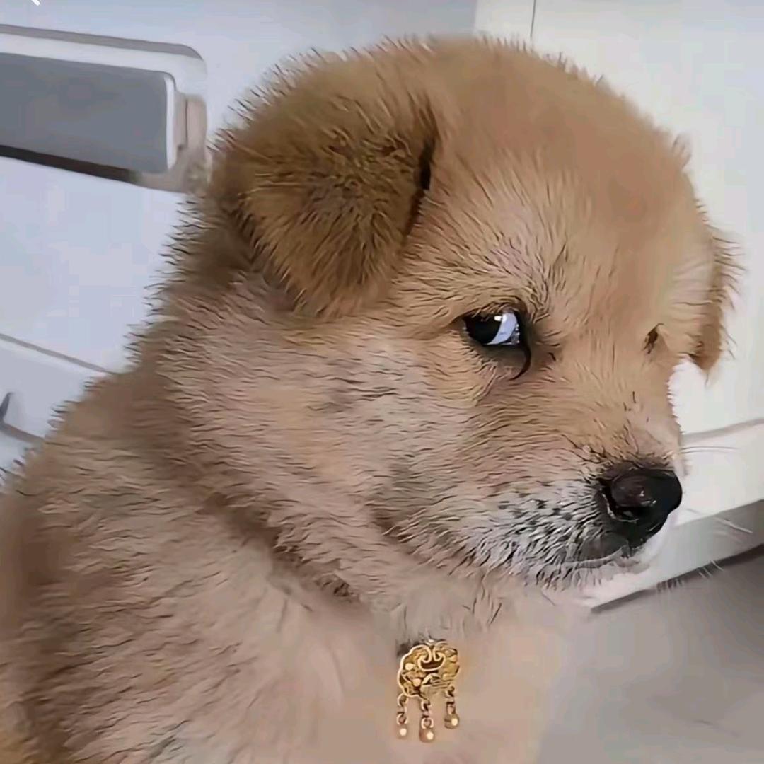 终不似，少年游
