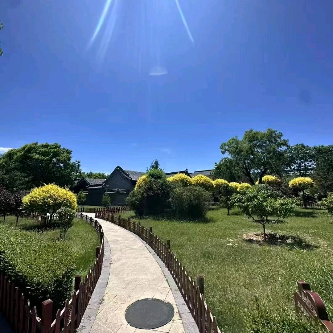 坚强而后盾。