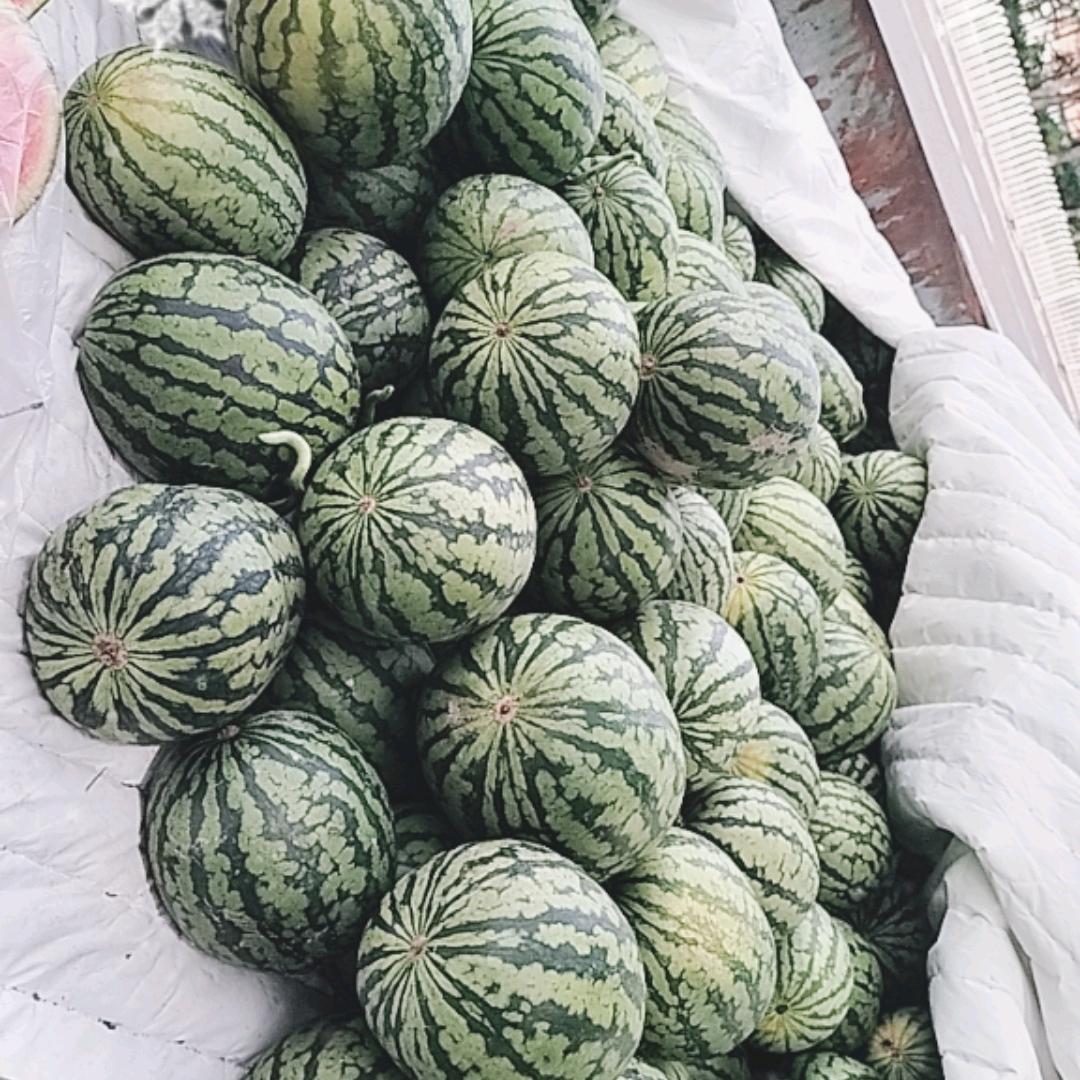 瓜果蔬菜代销