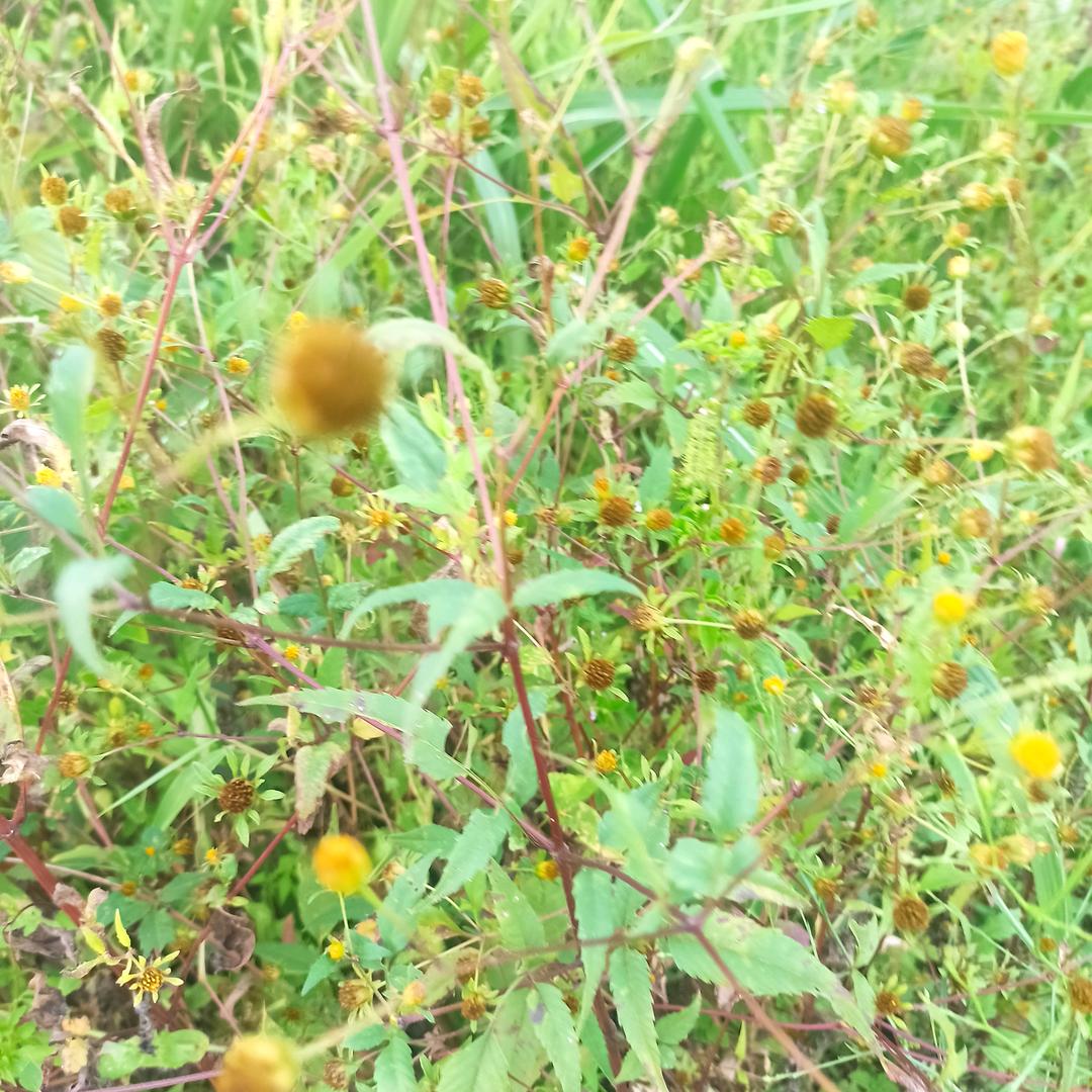 再见⊙﹏⊙昨天