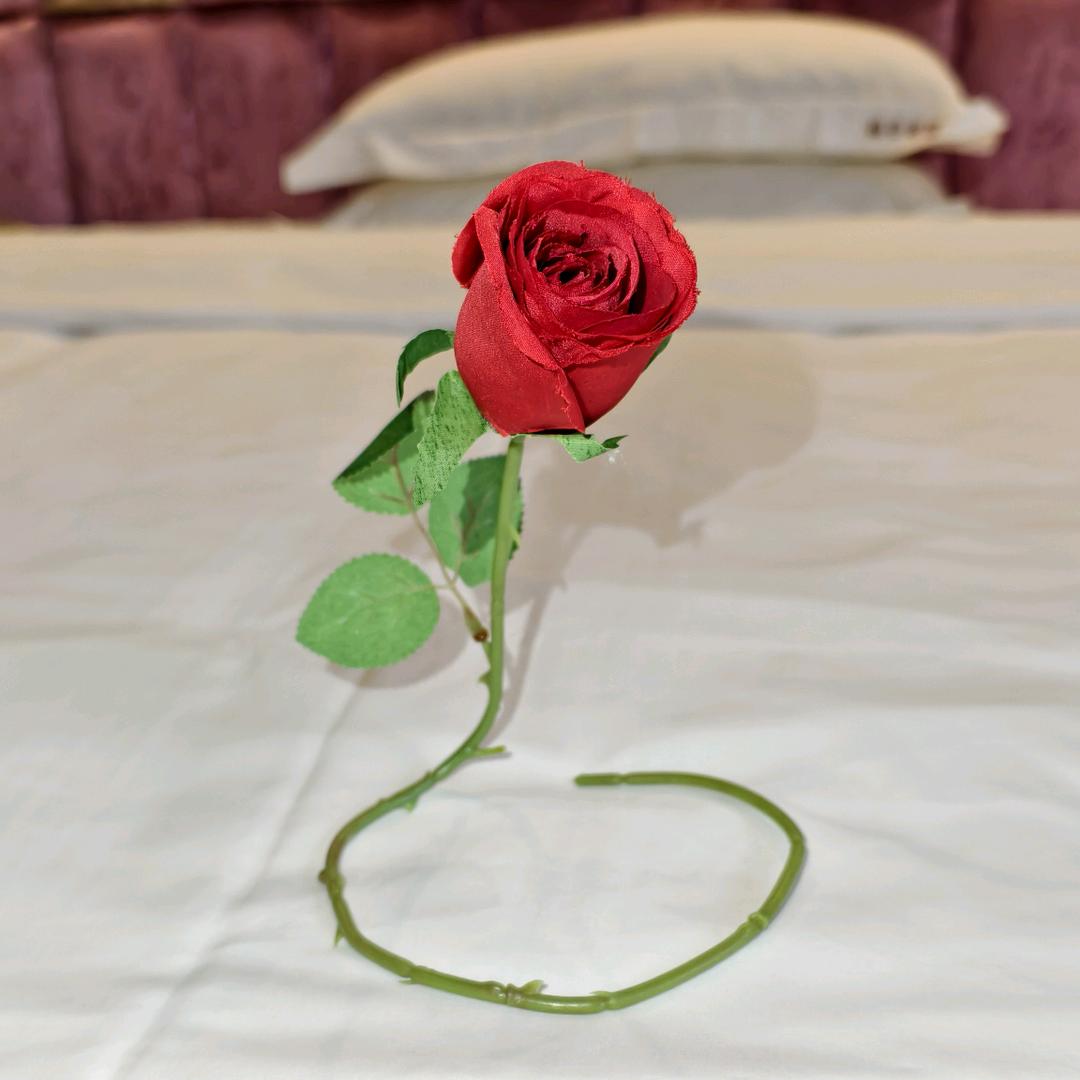 三公主优选-琳琳