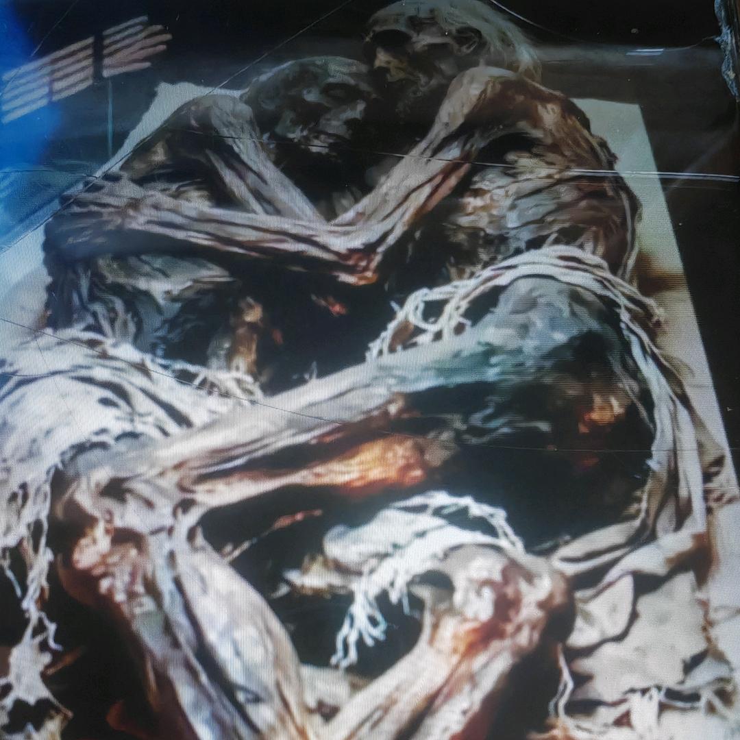 本想归佛门,少妇太迷人