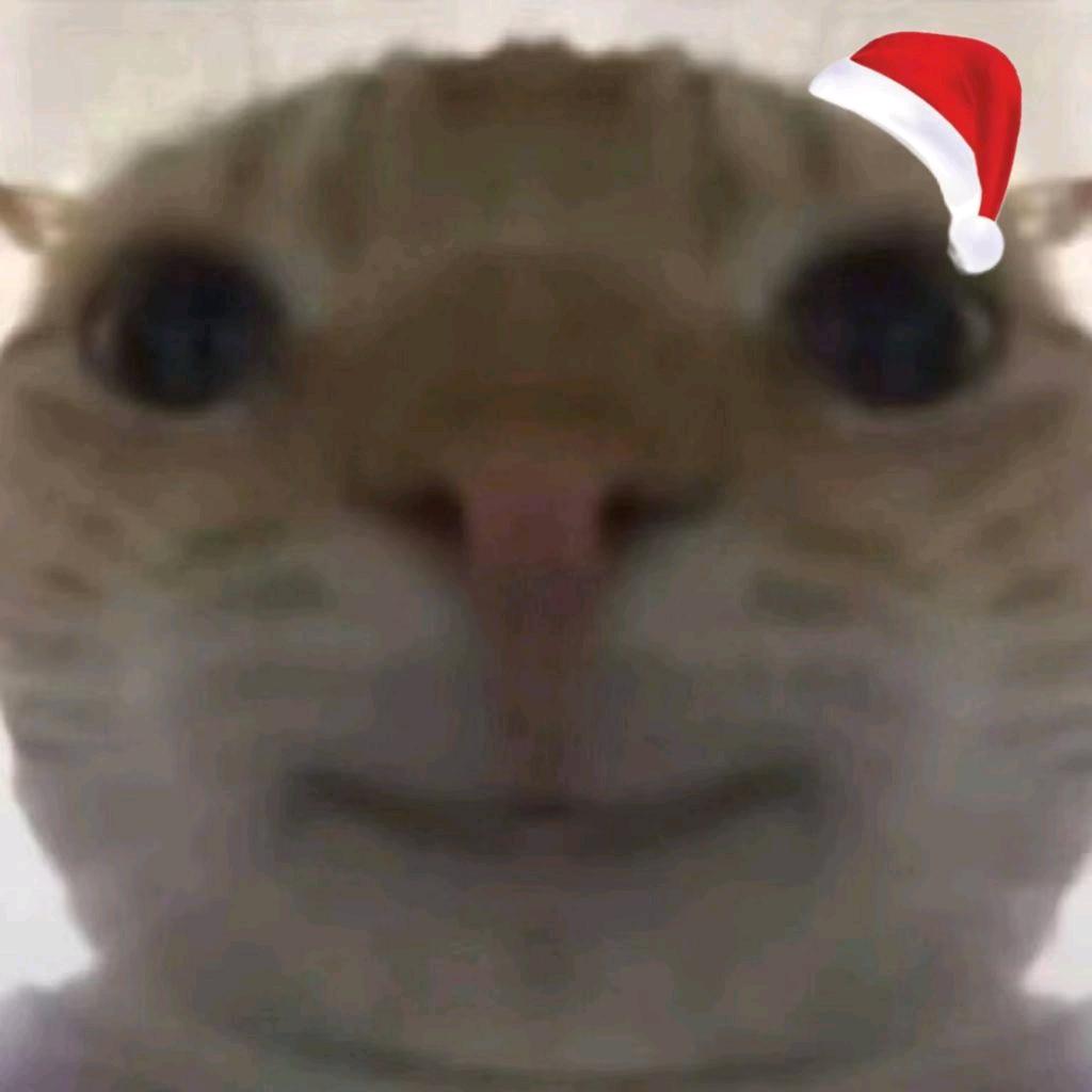 香香软软的臭老鼠