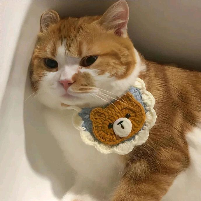 小猫星球
