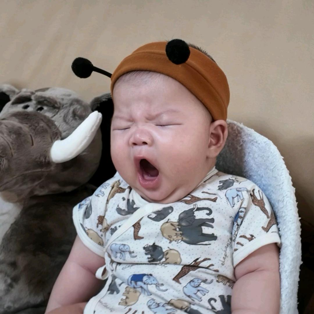 我有一个张张包