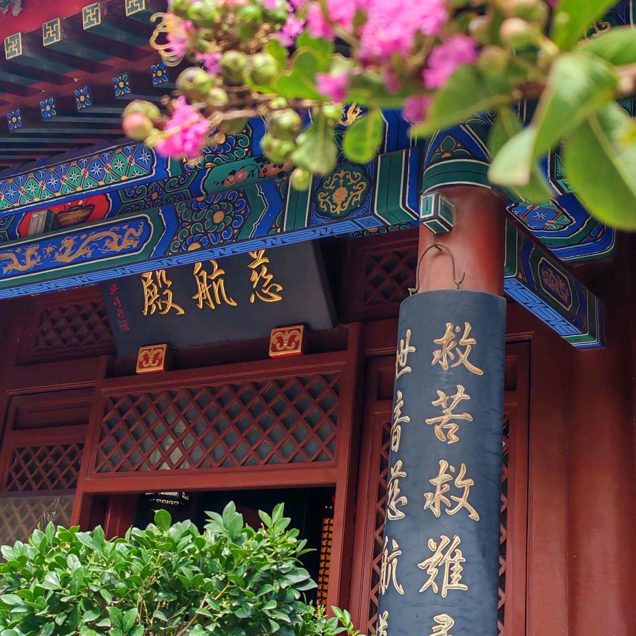 海棠丿朵朵