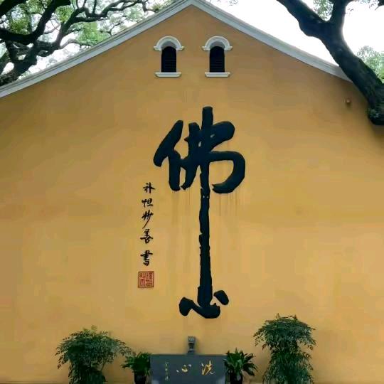 感恩有你🇨🇳🐌