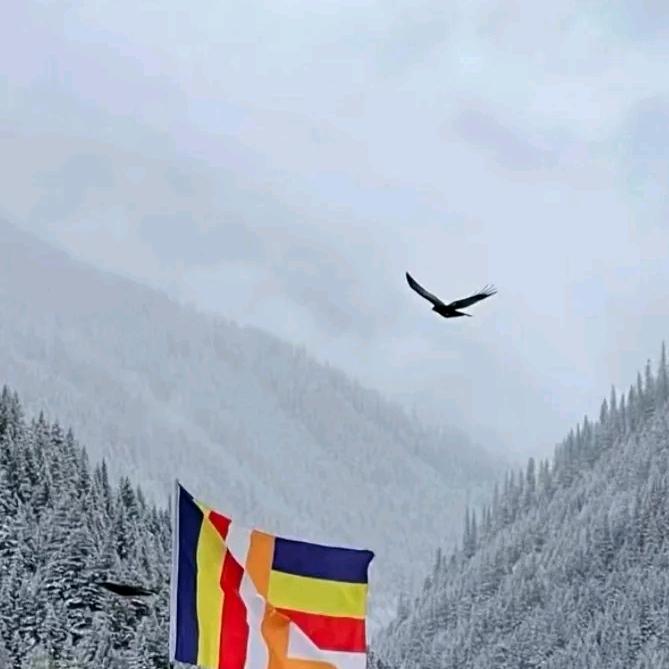 💞ℳ๓__❥⁵²º🌸এ᭄💗