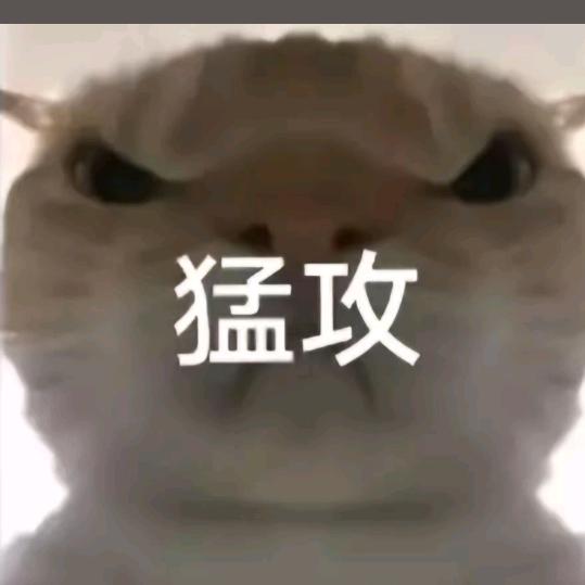 小林不会玩