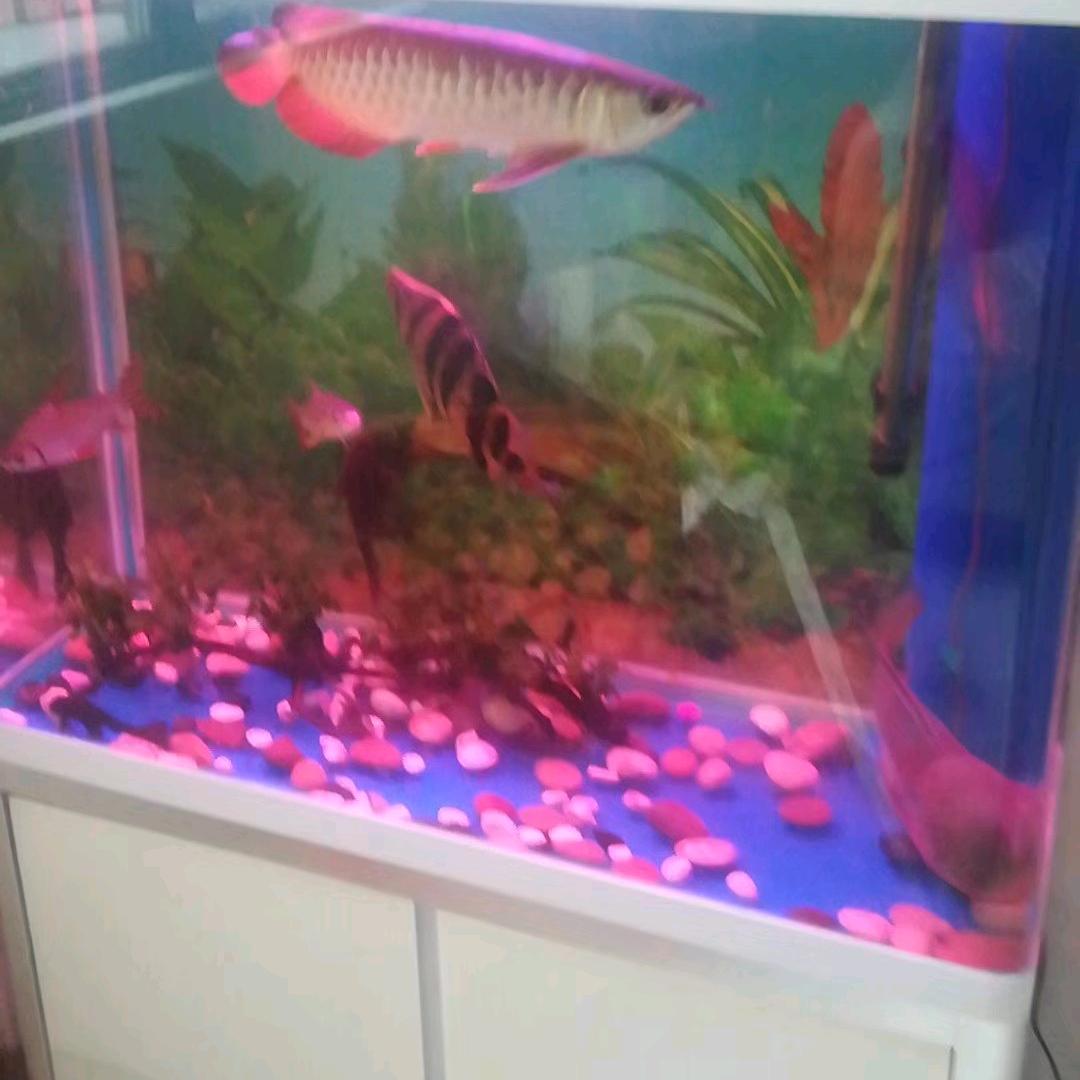 辉孟通讯商行