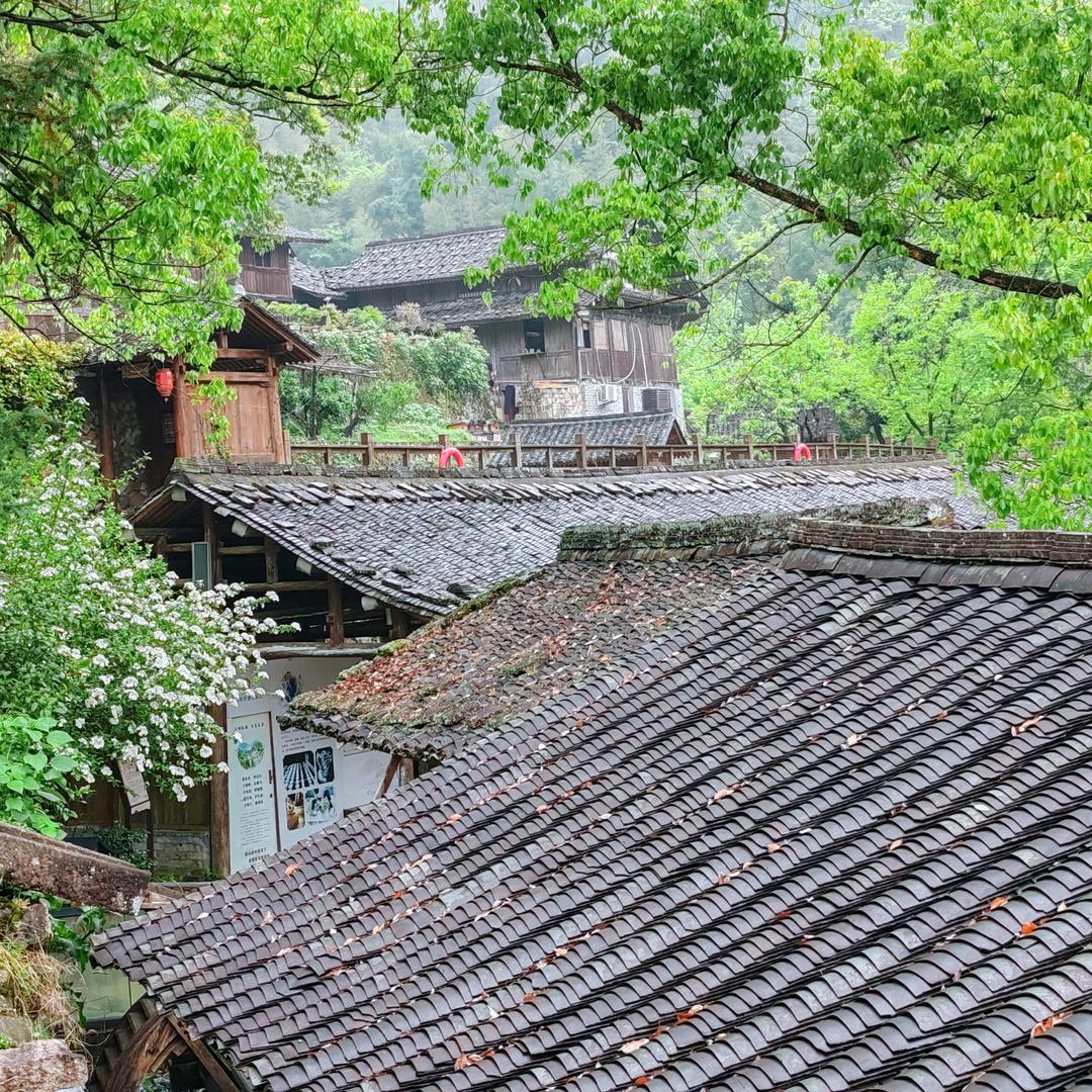 一辈子不玩原神的小惜梦头像