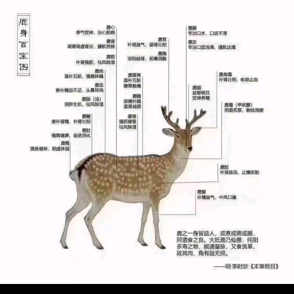 肖2213313102