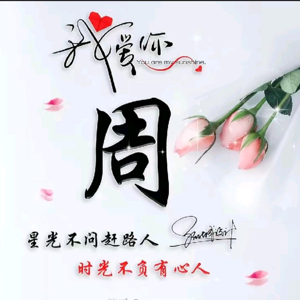 周城828