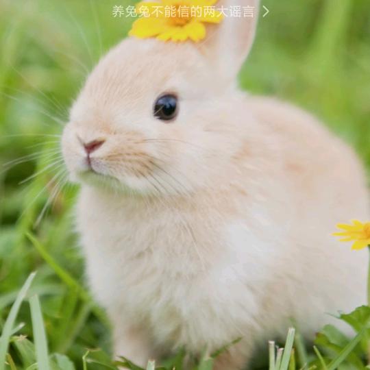 小姚