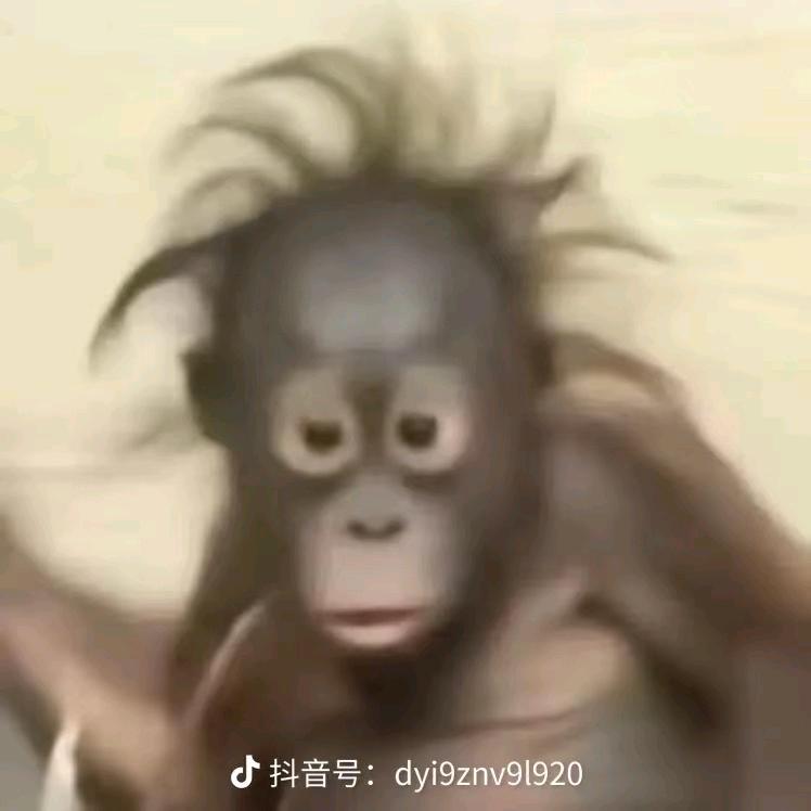糖果💫小糖豆